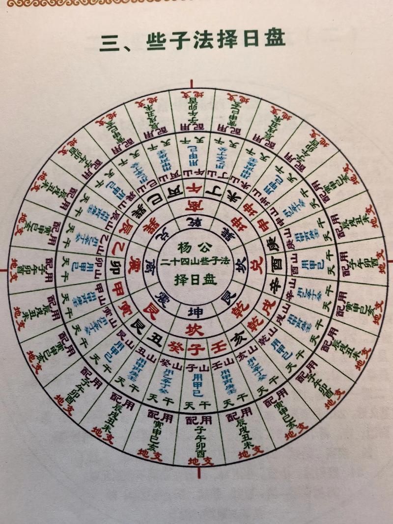 三元龍魚有哪些獨特的花紋？（三元龍魚是什么？）