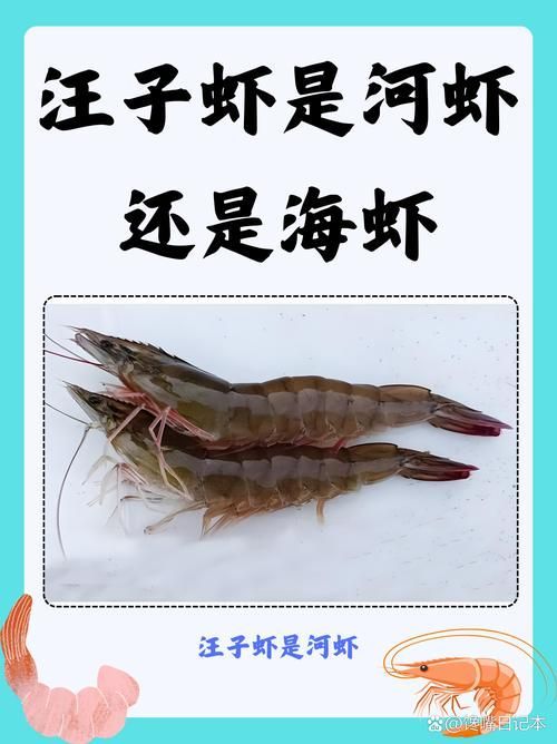 龍魚喂食河蝦和海蝦的比例是多少？