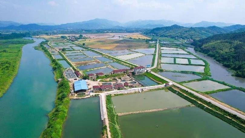 貴池龍魚養殖業如何（貴池并無“龍魚”養殖業，需包含1000字文字說明和全國聞名的）