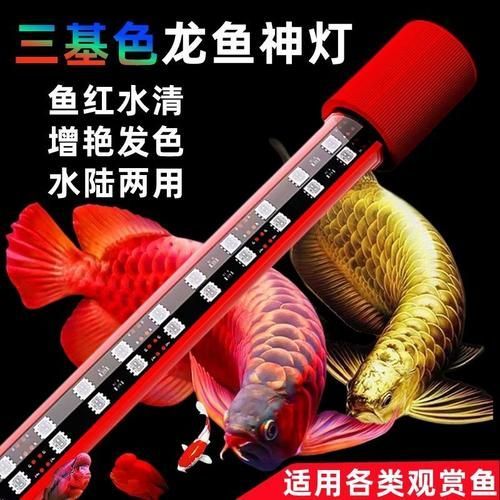 給我推薦幾款性價比高的紅龍魚專用燈（幾款性價比高的紅龍魚專用燈具推薦）