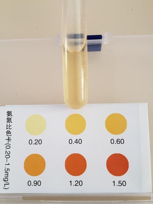 如何預防龍魚脹肚的發生？（arxiv論文助手arxiv論文助手（arxiv論文助手））
