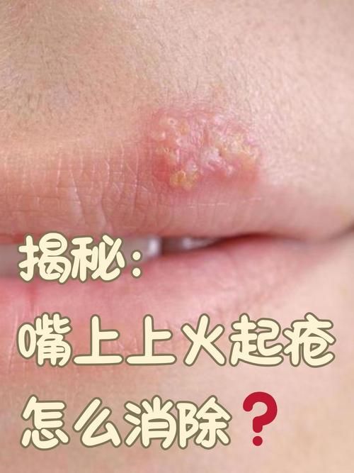 金龍魚祥龍魚場的聯系方式，金龍魚祥龍魚場怎么聯系 金龍魚祥龍魚場的聯系方式，金龍魚祥龍魚場怎么聯系 龍魚百科 第1張