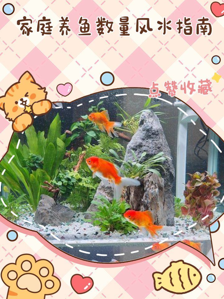 養幾條金龍魚最能招財進寶？（養金龍魚最能招財進寶的數量，9條或1條，6條或1條）