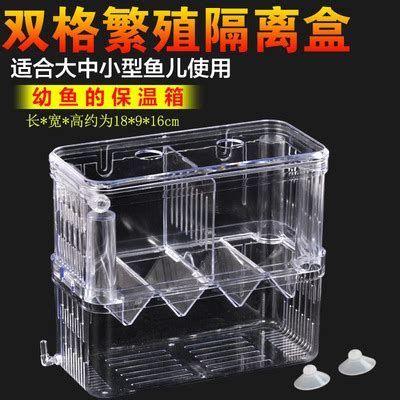 如何判斷龍魚幼崽的健康狀況？（如何判斷龍魚幼崽健康狀況）