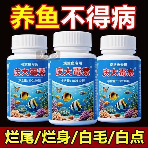 哪些藥物可以有效治療龍魚趴缸？（養魚專家經驗筆記龍魚趴缸專家經驗筆記1000字以上專業詳解）