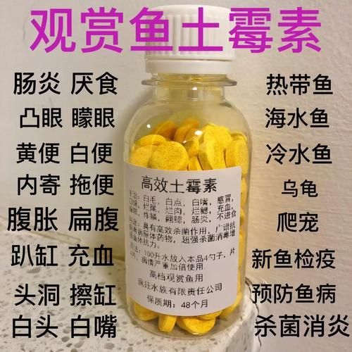 哪些藥物可以有效治療龍魚趴缸？（養魚專家經驗筆記龍魚趴缸專家經驗筆記1000字以上專業詳解）