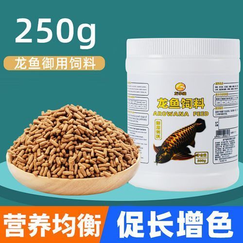 泗水龍魚的養殖技術有哪些？（泗水龍魚養殖技術）