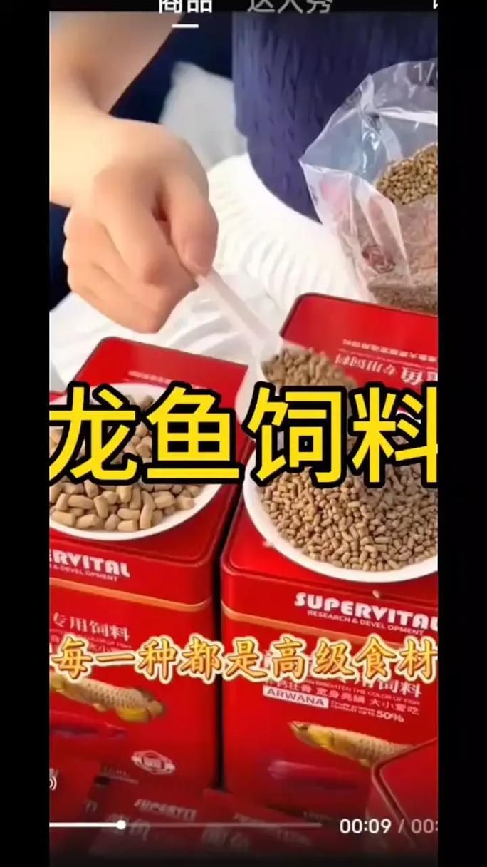 泗水龍魚的養殖技術有哪些？（泗水龍魚養殖技術）
