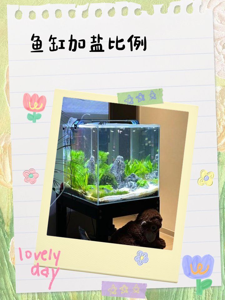 有沒有更簡單的龍魚鰓病治療方法？（龍魚鰓病的“更簡單”治療方法）