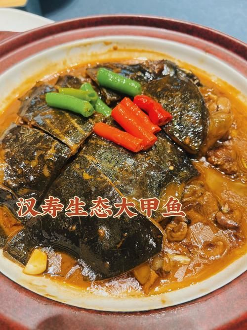 金龍魚吃牛心漢堡后有哪些異常反應？