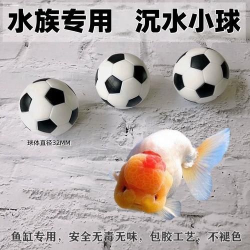 如何選擇適合龍魚(yú)的防掉眼漂浮球？（如何選擇適合龍魚(yú)的防掉眼漂浮球）
