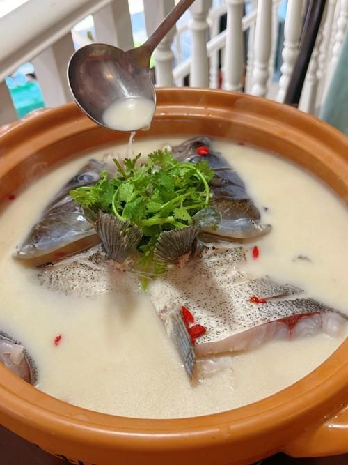 化州龍魚有哪些功效（化州龍魚、龍魚、龍躉魚的藥用功效主要產于中國廣東省化州龍魚）
