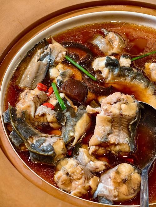 化州龍魚有哪些功效（化州龍魚、龍魚、龍躉魚的藥用功效主要產于中國廣東省化州龍魚）