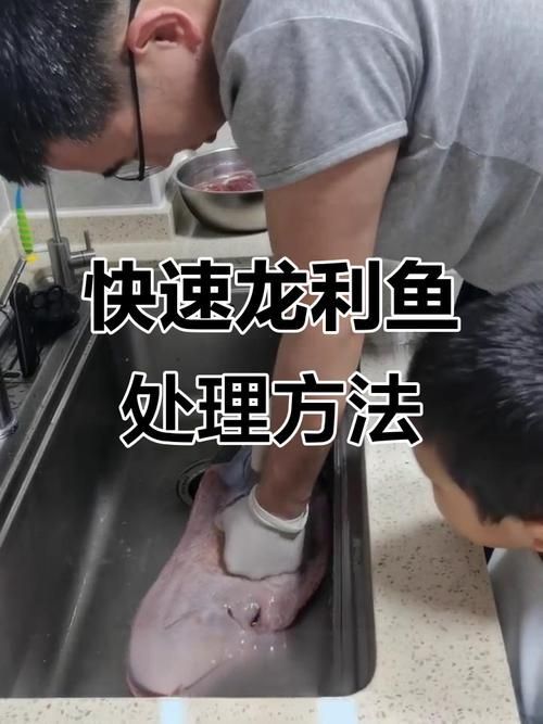 給我推薦一些龍魚鱗片缺口恢復的視頻教程（關于龍魚鱗片缺口恢復的視頻教程）