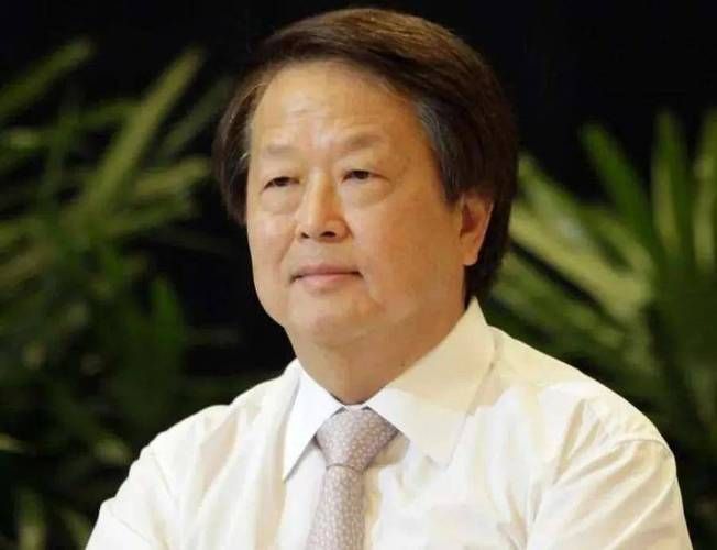 金龍魚懂事長是否涉及任何負面新聞？