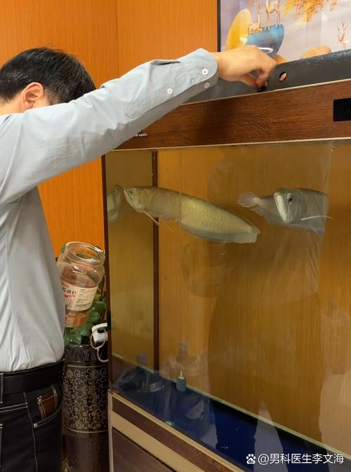 如何判斷龍魚是否需要補(bǔ)充活食？（如何判斷龍魚是否需要活食）