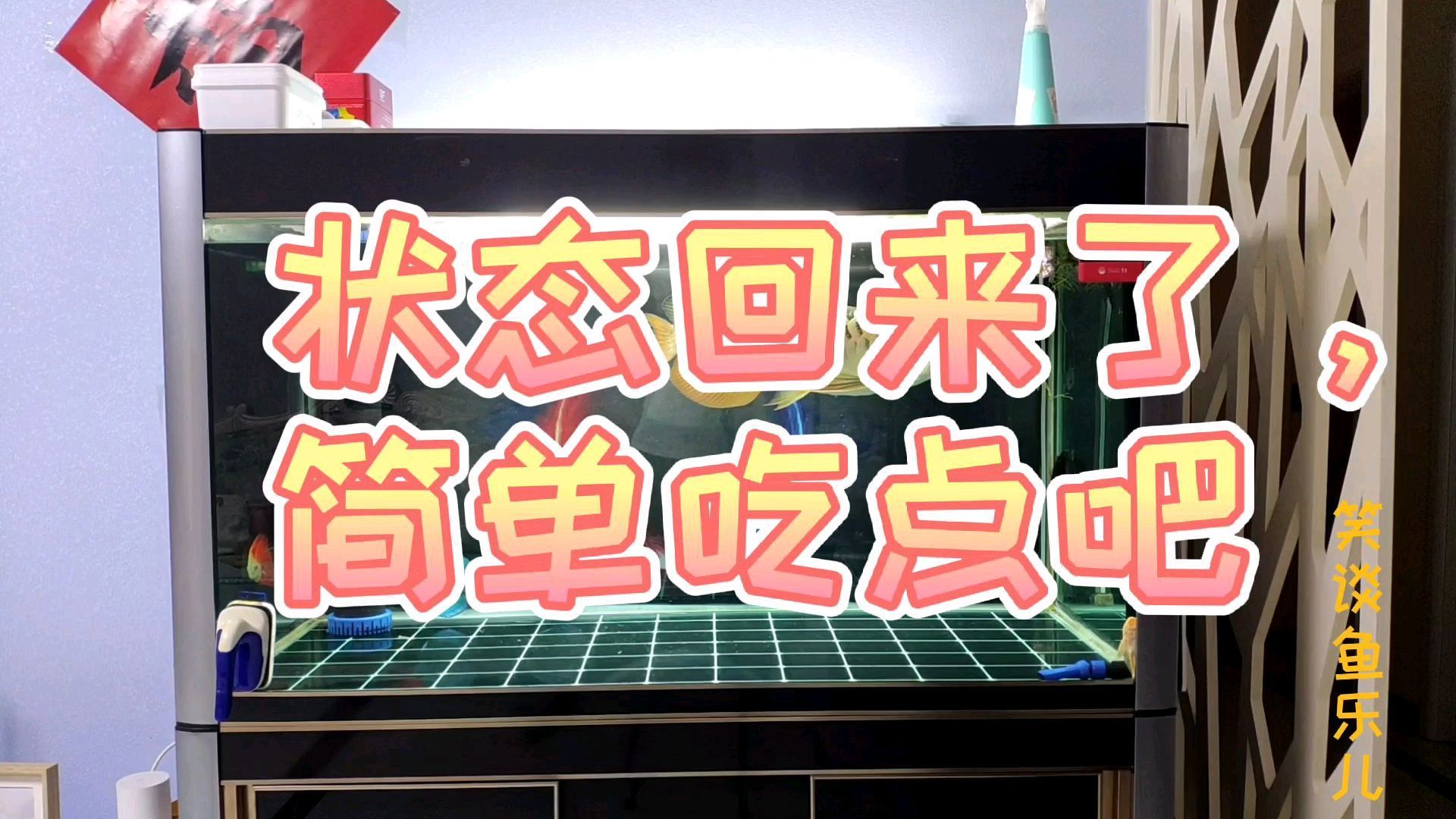 有哪些食物可以誘食龍魚？（如何誘食龍魚吃人工飼料）