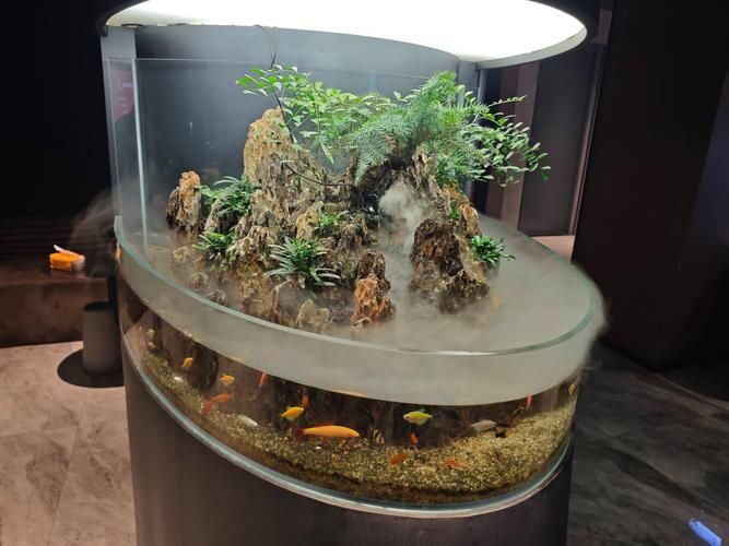 有哪些方法可以改善龍魚的磨缸習性？（北京自來水龍魚磨缸習性（1000字和配圖解釋）） 有哪些方法可以改善龍魚的磨缸習性？（北京自來水龍魚磨缸習性（1000字和配圖解釋）） 龍魚百科 第10張