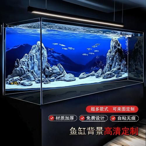 有哪些方法可以改善龍魚的磨缸習性？（北京自來水龍魚磨缸習性（1000字和配圖解釋）） 有哪些方法可以改善龍魚的磨缸習性？（北京自來水龍魚磨缸習性（1000字和配圖解釋）） 龍魚百科 第4張