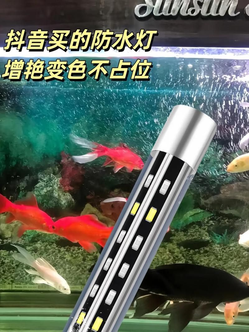 銀龍魚使用藍加白燈的具體方法（銀龍魚使用藍加白燈使用藍加白燈的具體操作方法是什么）