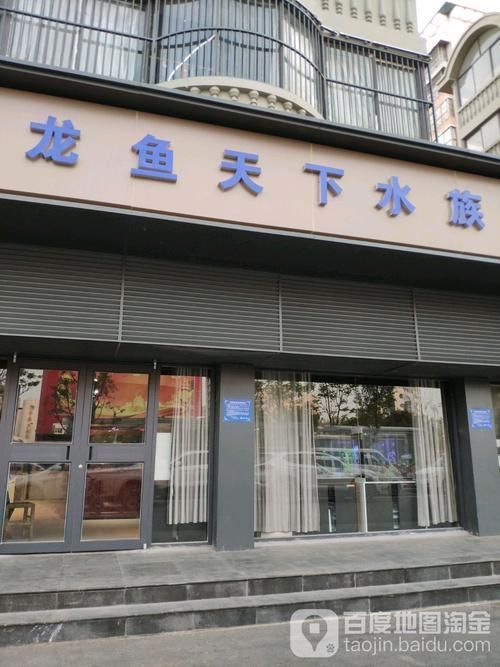 和縣龍魚的價格是多少？（“和縣龍魚”觀賞魚交易集散地價格分布、高價值品種價格）