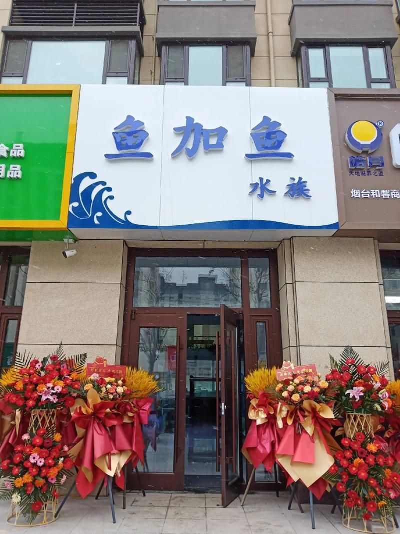 和縣龍魚的價格是多少？（“和縣龍魚”觀賞魚交易集散地價格分布、高價值品種價格）