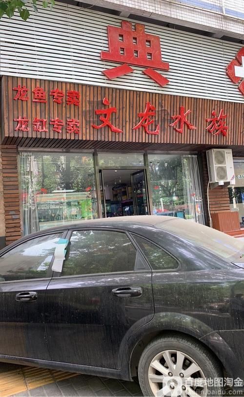 和縣龍魚的價格是多少？（“和縣龍魚”觀賞魚交易集散地價格分布、高價值品種價格）