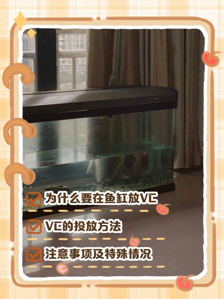龍魚厭食時應該如何補充維生素？（龍魚厭食如何補充維生素）