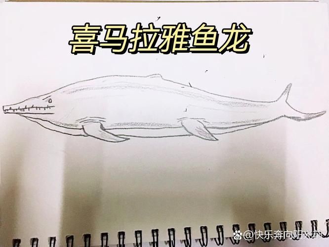 能提供一張深海龍魚的簡筆畫圖片嗎？（深海龍魚的簡筆畫圖片）