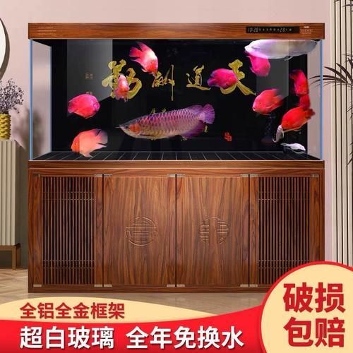 給我推薦幾款性價比高的龍魚魚缸（5款性價比高的龍魚魚缸，性價比高的龍魚魚缸）