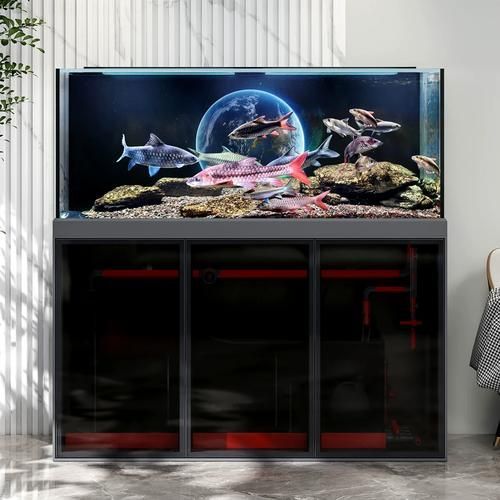 給我推薦幾款性價比高的龍魚魚缸（5款性價比高的龍魚魚缸，性價比高的龍魚魚缸）
