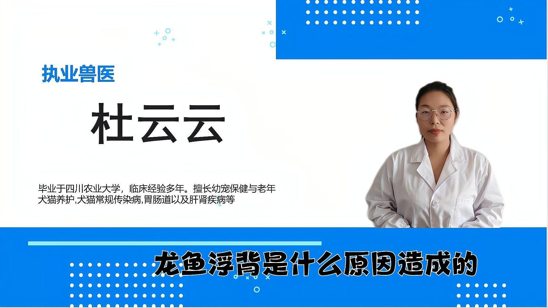 龍魚浮起來了可能是哪些原因？（龍魚為什么會浮起來？）