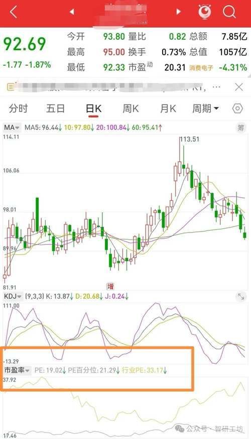 金龍魚股票的發行市盈率是什么意思?(金龍魚發行市盈率的計算) 龍魚百科 第6張 金龍魚股票的發行市盈率是什么意思?(金龍魚發行市盈率的計算) 金龍魚股票的發行市盈率是什么意思?(金龍魚發行市盈率的計算) 龍魚百科 第6張