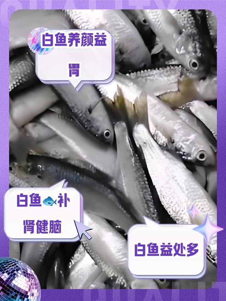白龍魚有哪些營養價值（白龍魚有哪些功效與作用？）