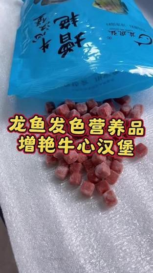 龍魚吃牛心漢堡有哪些注意事項？（關于龍魚食用牛心漢堡的注意事項）