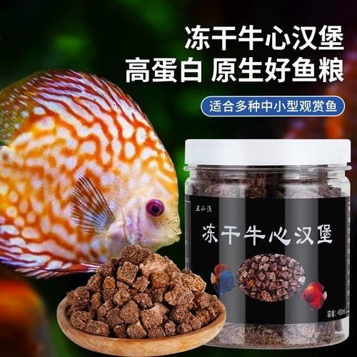 龍魚吃牛心漢堡有哪些注意事項？（關于龍魚食用牛心漢堡的注意事項）