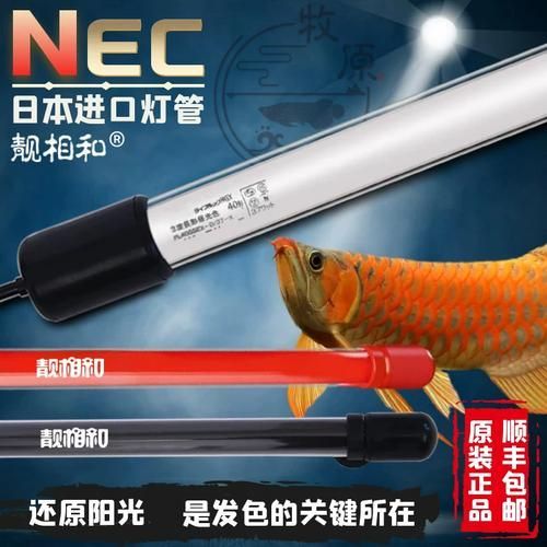 龍魚燈6700K和2700K哪個更好（6700k和2700k的龍魚燈各有用途，關鍵在于使用階段和搭配方式）