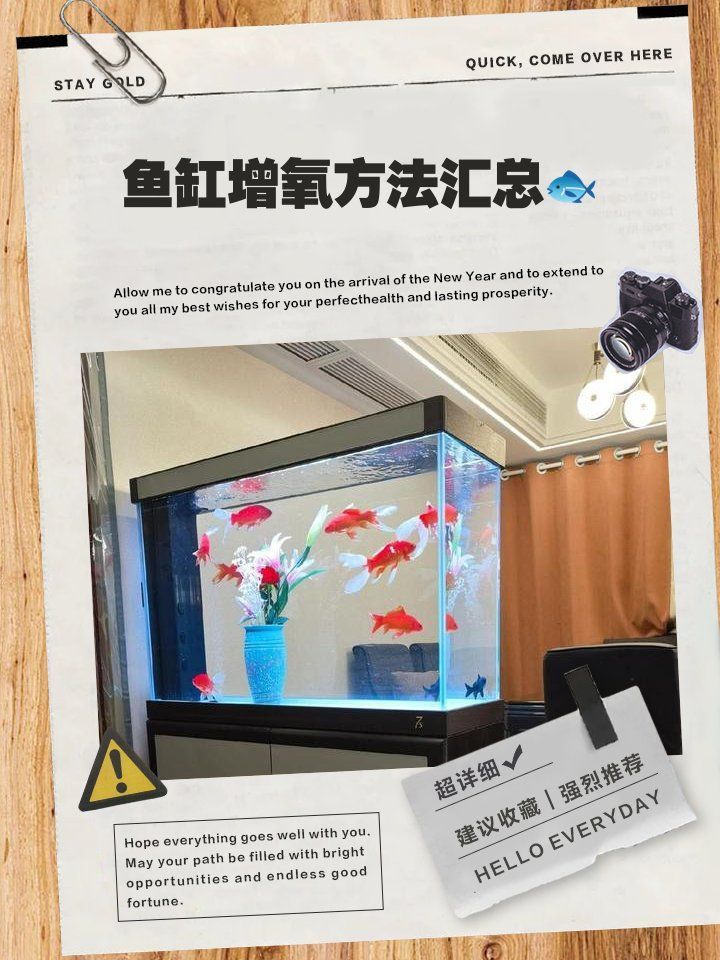 龍魚浮在水面如何增加氧氣？（龍魚增氧技術(shù)）