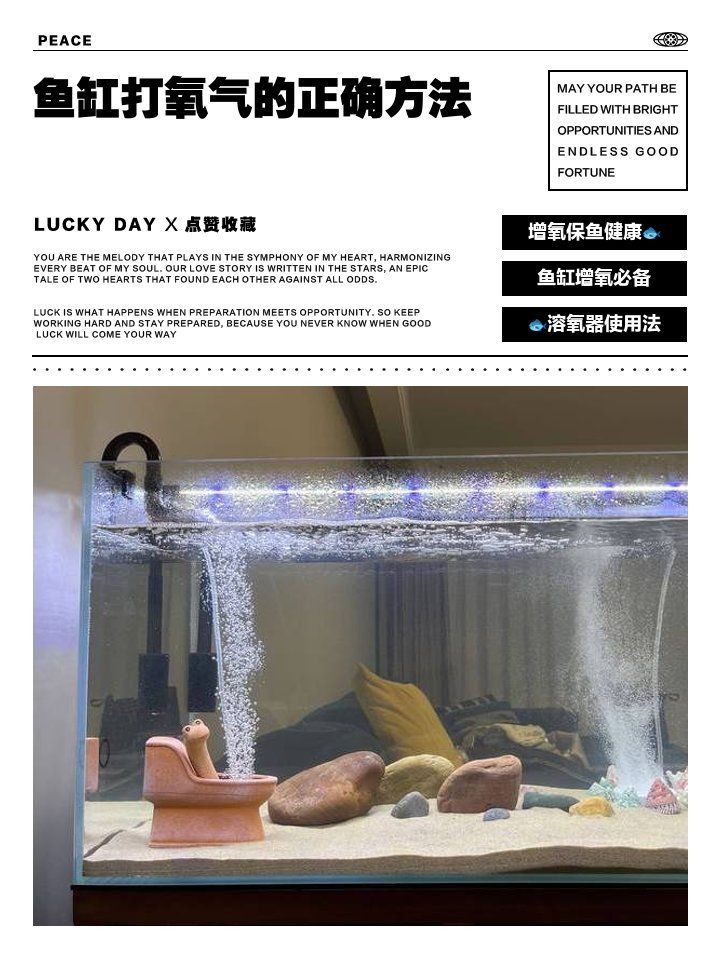 龍魚浮在水面如何增加氧氣？（龍魚增氧技術(shù)）