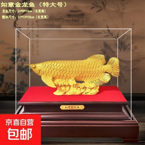 2025年長城杯龍魚有哪些品種（2025年長城杯世界龍魚錦標賽獲獎名單）