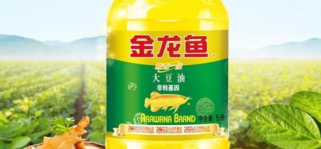 2025年長城杯龍魚有哪些品種（2025年長城杯世界龍魚錦標賽獲獎名單）