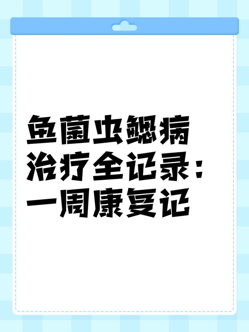 哪種藥物治療龍魚腮部鼓包最有效？（治療龍魚腮部鼓包）