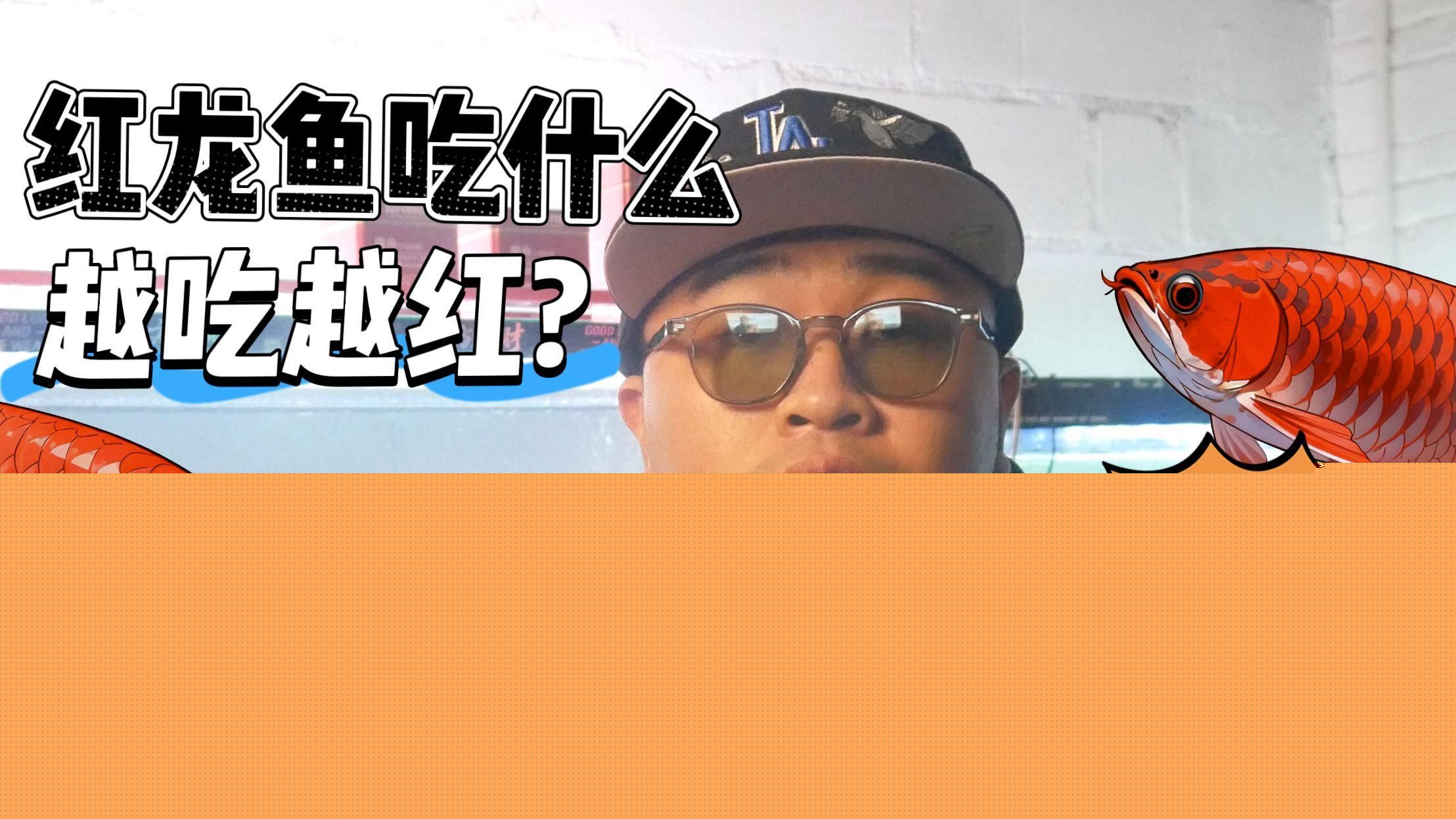 紅龍魚發(fā)色需要哪些飼料？（紅龍魚發(fā)色需要多長時間，如何搭配飼料以優(yōu)化紅龍魚發(fā)色）