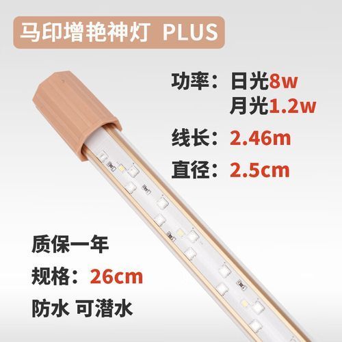 紅龍魚使用NEC 6700K白燈有哪些品牌推薦？（nec6700k白燈）