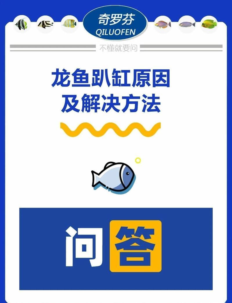 如何判斷龍魚是否因為水質(zhì)問題趴缸？（龍魚趴缸原因及應對方法） 如何判斷龍魚是否因為水質(zhì)問題趴缸？（龍魚趴缸原因及應對方法） 龍魚百科 第1張