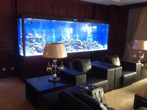 新手養龍魚需要準備哪些設備？（拆解新手養龍魚必備設備清單與詳解（附圖示））