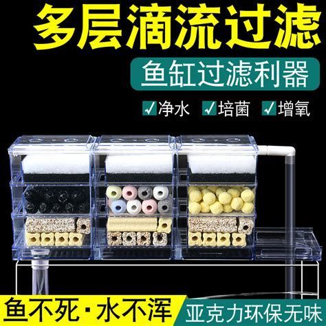 新手養龍魚需要準備哪些設備？（拆解新手養龍魚必備設備清單與詳解（附圖示））
