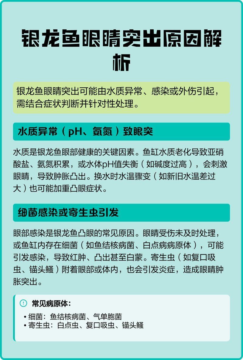 如何判斷龍魚眼睛凸出是哪種原因？（龍魚凸眼病的三大原因及解決方法）