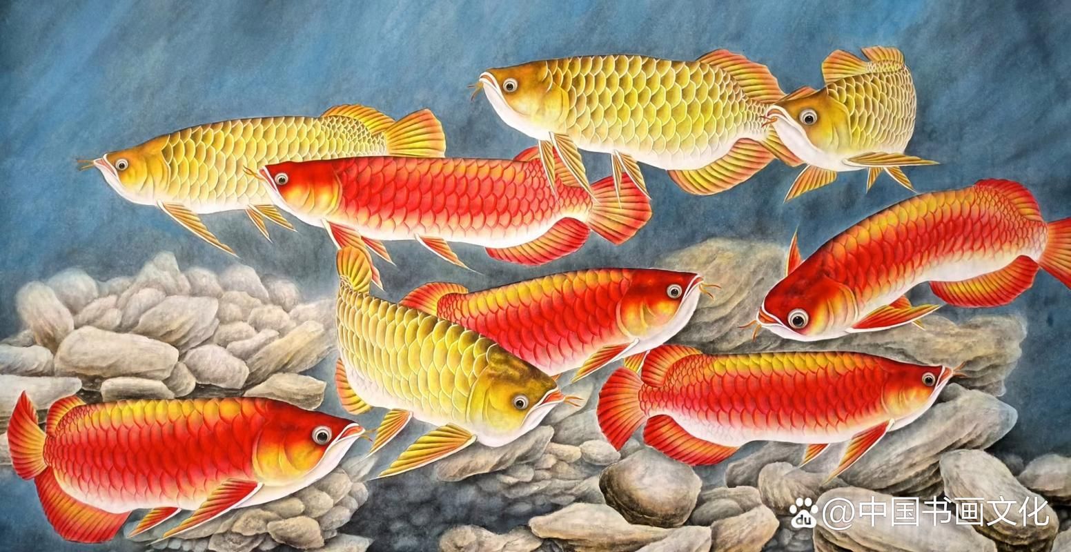給我推薦一些國畫工筆金龍魚的畫家（畫工筆金龍魚的畫家）