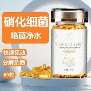 有哪些品牌的龍魚硝化細菌膠囊推薦？（龍魚專用的硝化細菌膠囊）